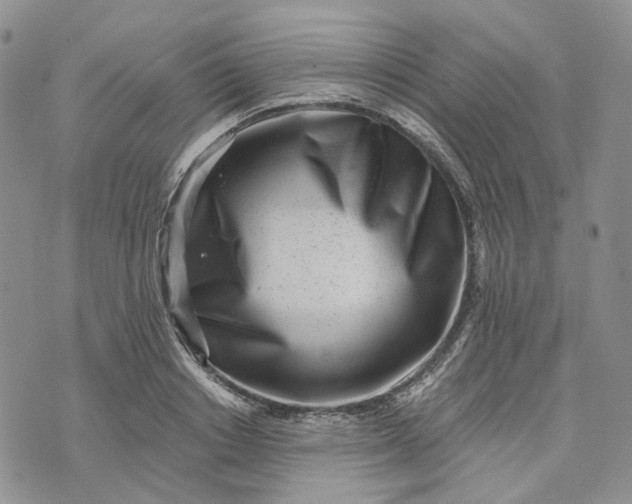 X0000072980842200608041241