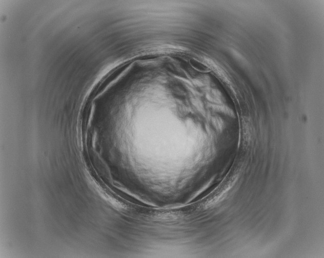 X0000072980843200608041241