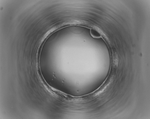 X0000072980845200608041241