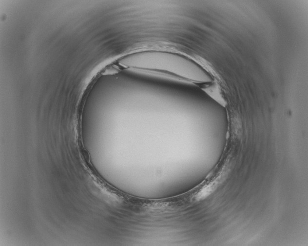 X0000072980846200608041241