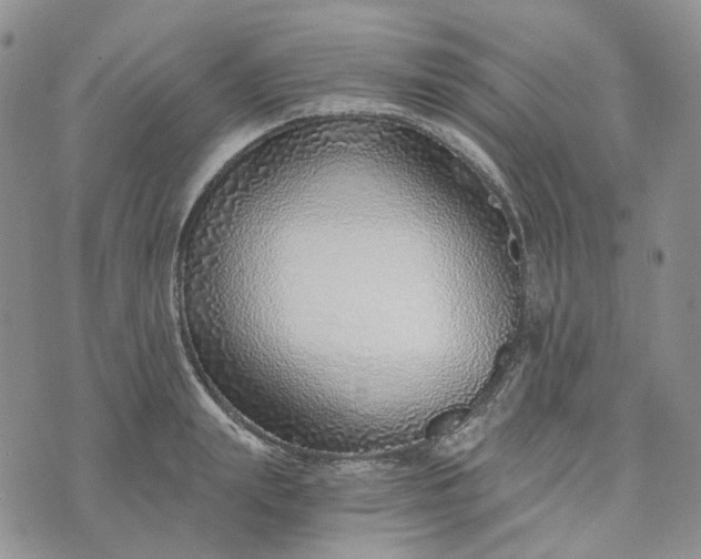 X0000072980847200608041241