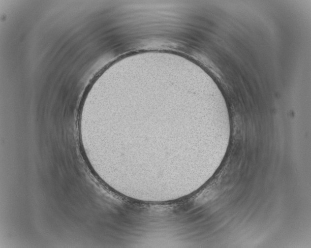 X0000072980848200608041241