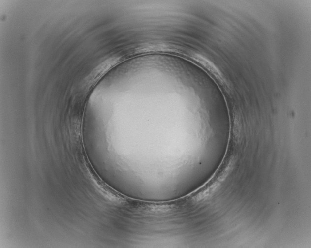 X0000072980849200608041241