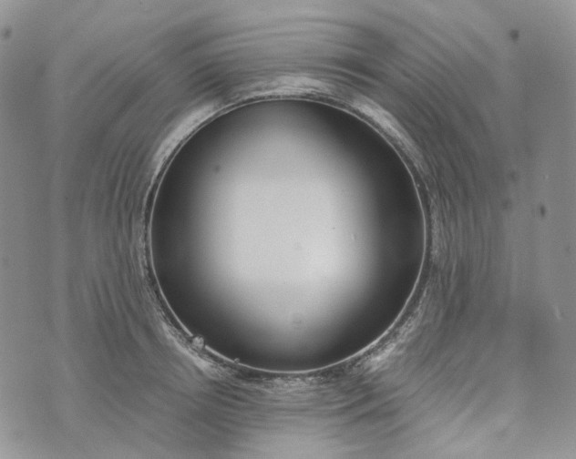 X0000072980850200608041241