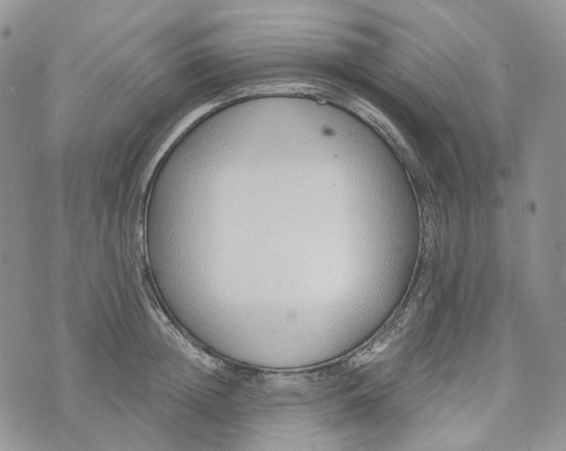 X0000072980852200608041241