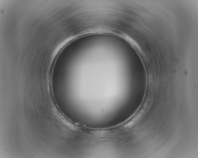 X0000072980854200608041241