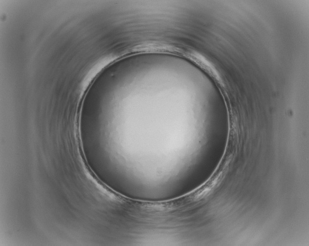 X0000072980855200608041241