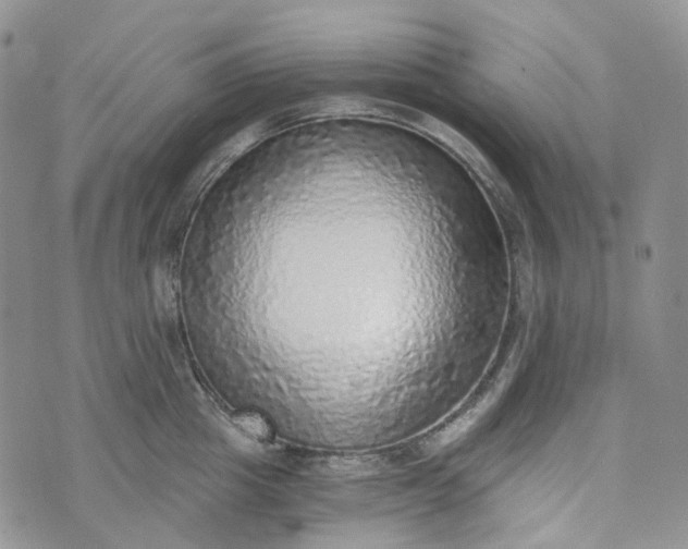 X0000072980857200608041241