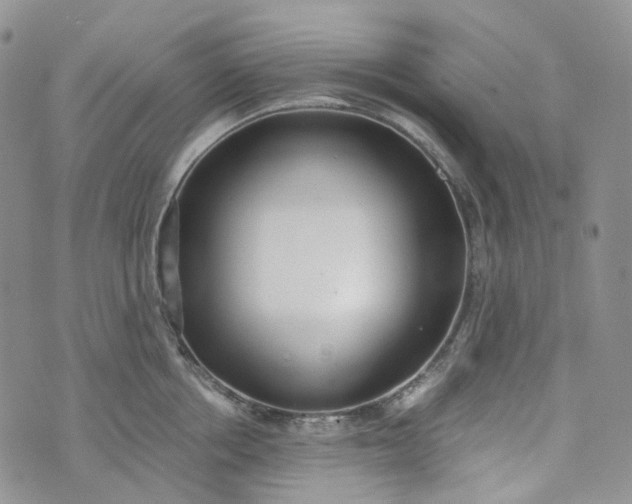 X0000072980858200608041241