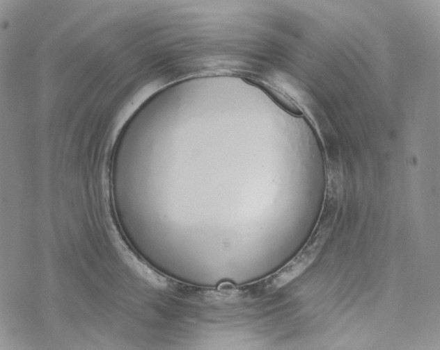 X0000072980859200608041241