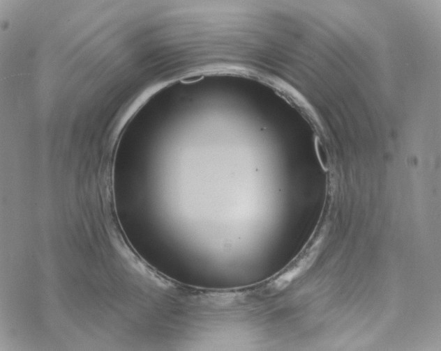 X0000072980860200608041241