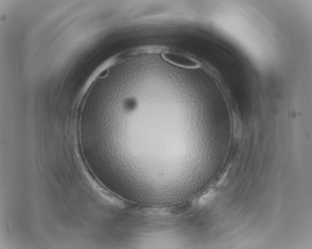 X0000072980861200608041241