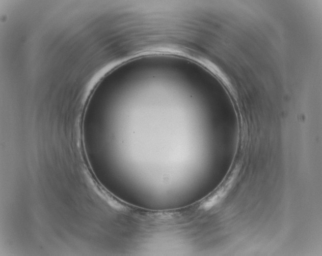 X0000072980862200608041241