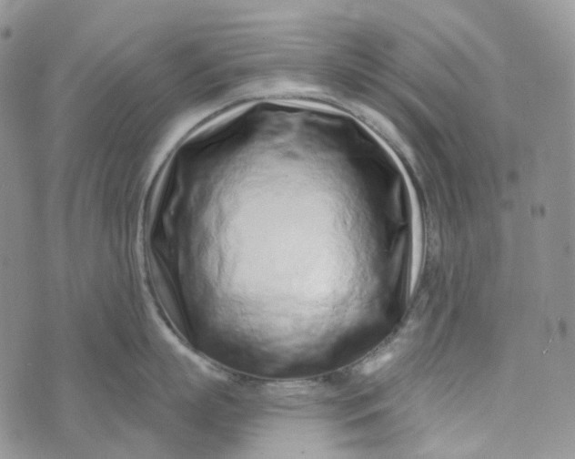 X0000072980863200608041241