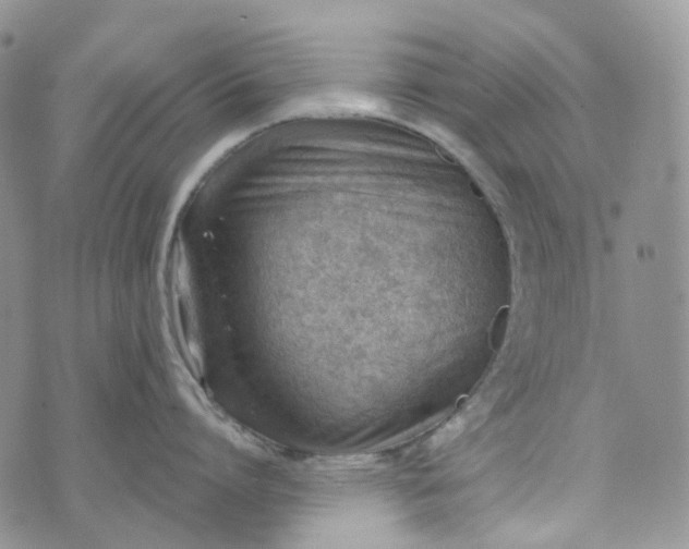 X0000072980864200608041241