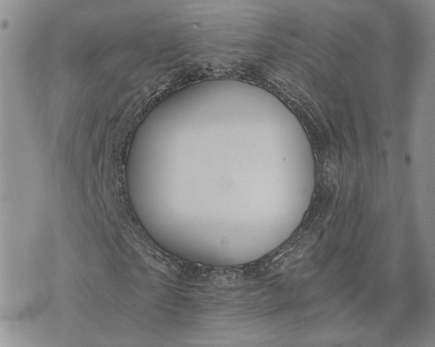 X0000072980865200608041241