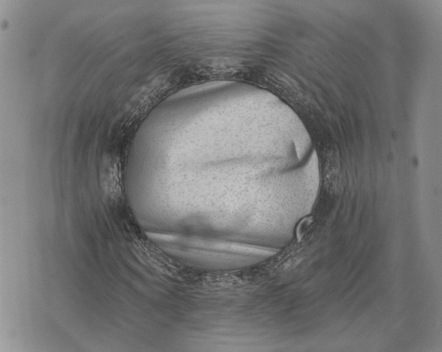 X0000072980866200608041241