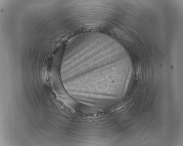 X0000072980868200608041241