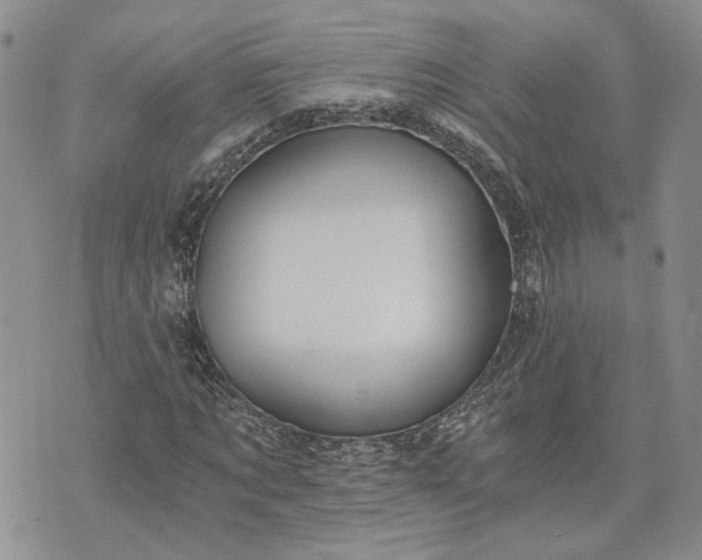 X0000072980869200608041240