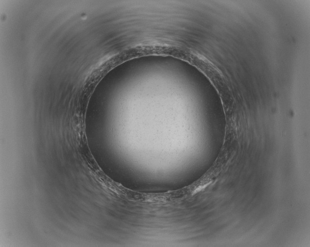 X0000072980870200608041240