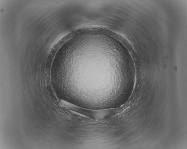 X0000072980871200608041240