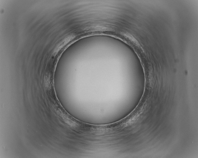 X0000072980873200608041240