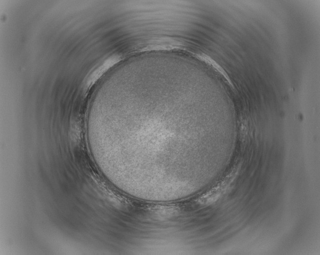 X0000072980874200608041240