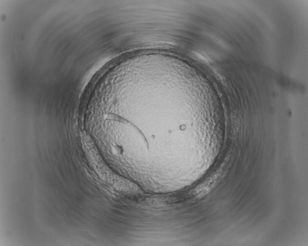 X0000072980875200608041240