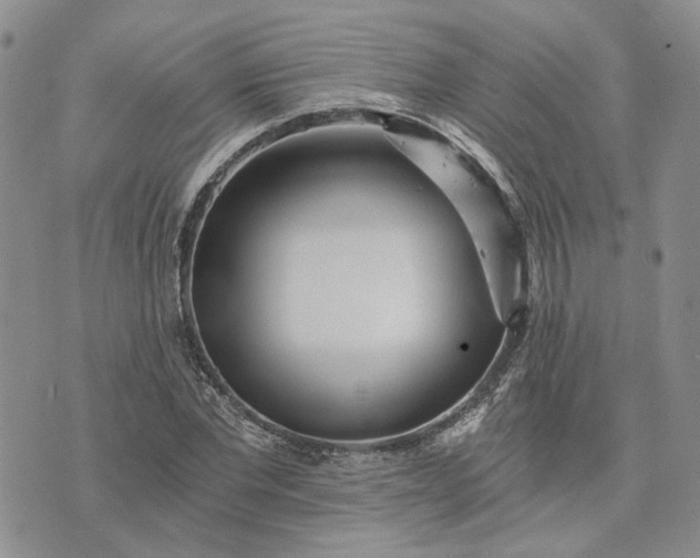 X0000072980877200608041240