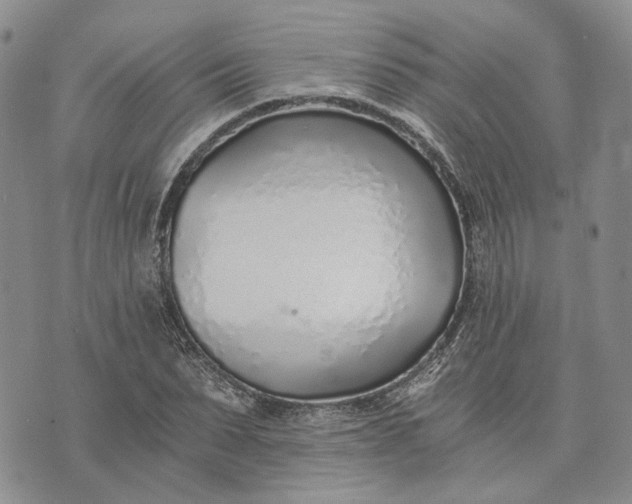 X0000072980879200608041240