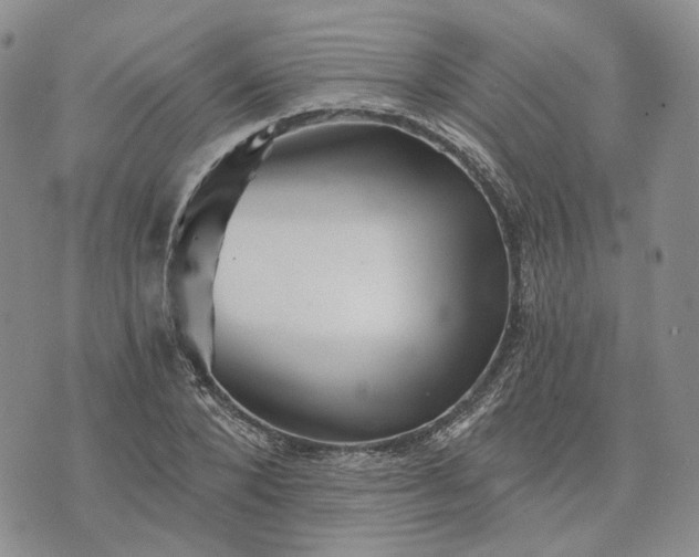 X0000072980880200608041240