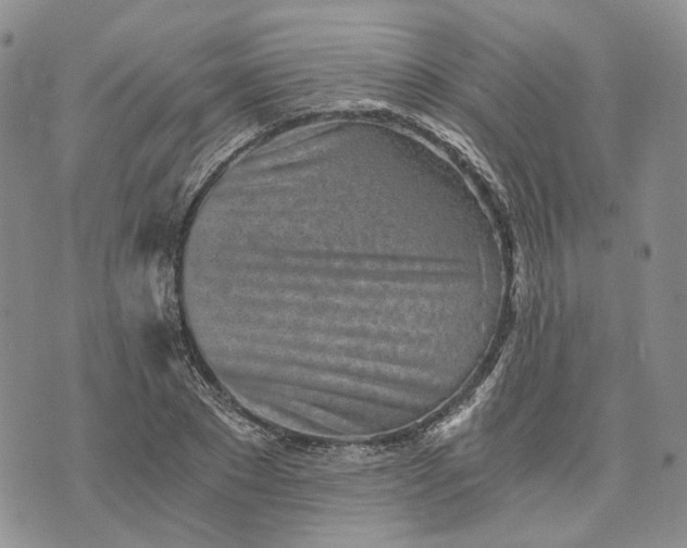 X0000072980881200608041240