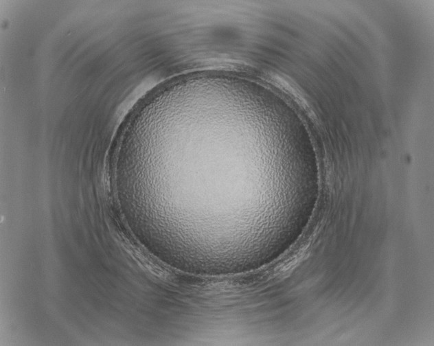 X0000072980883200608041240