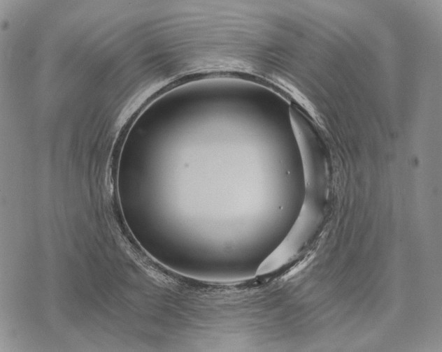 X0000072980885200608041240