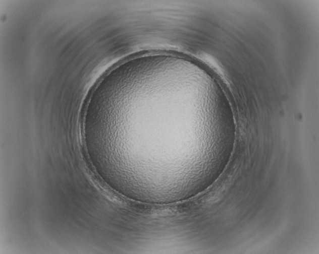 X0000072980887200608041240