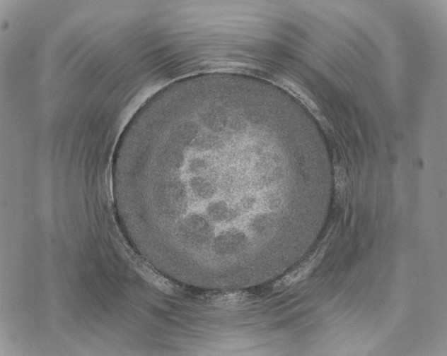 X0000072980891200608041240