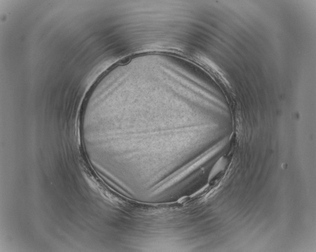 X0000072980892200608041240