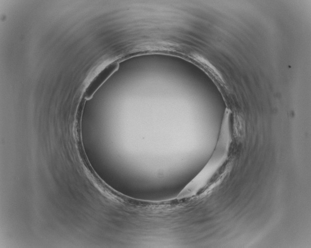 X0000072980893200608041240