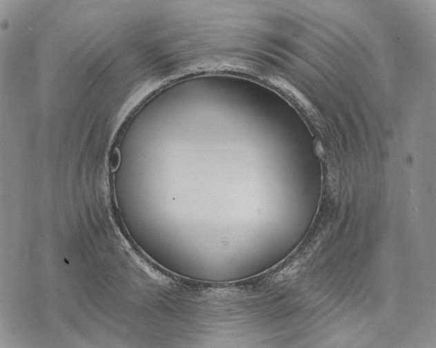 X0000072980894200608041240