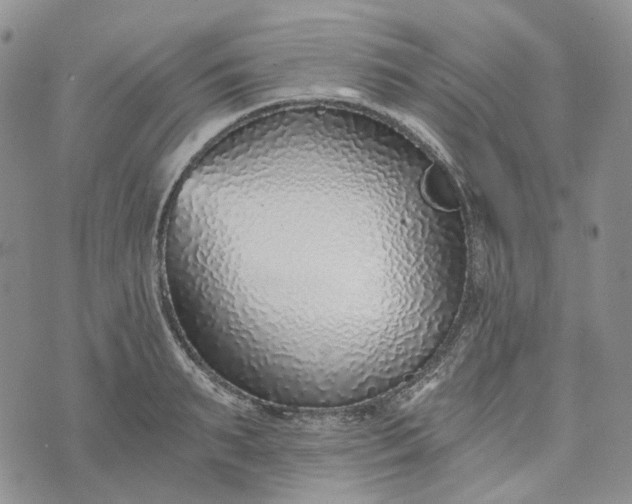 X0000072980895200608041240