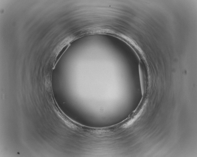 X0000072980897200608041240