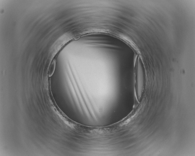 X0000072980898200608041240