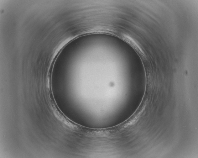 X0000072980900200608041240