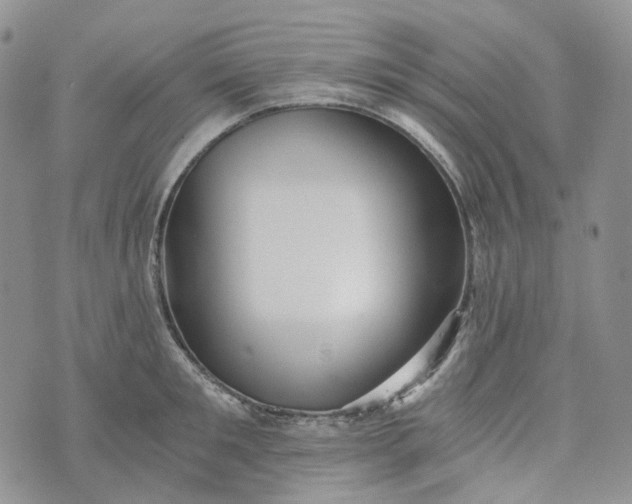 X0000072980901200608041240