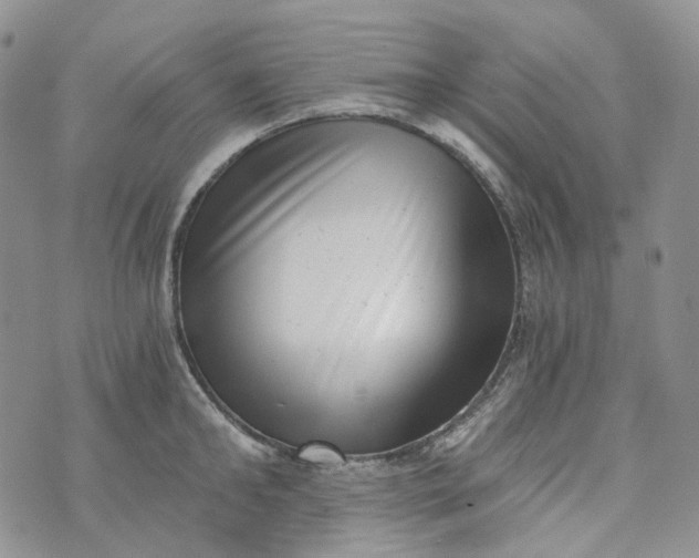 X0000072980902200608041240