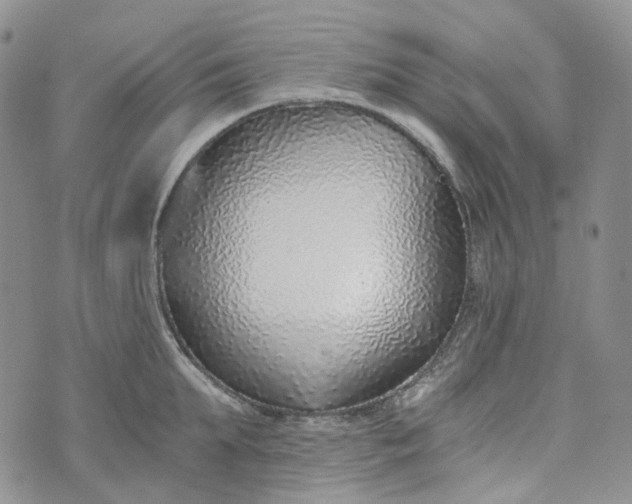 X0000072980903200608041240