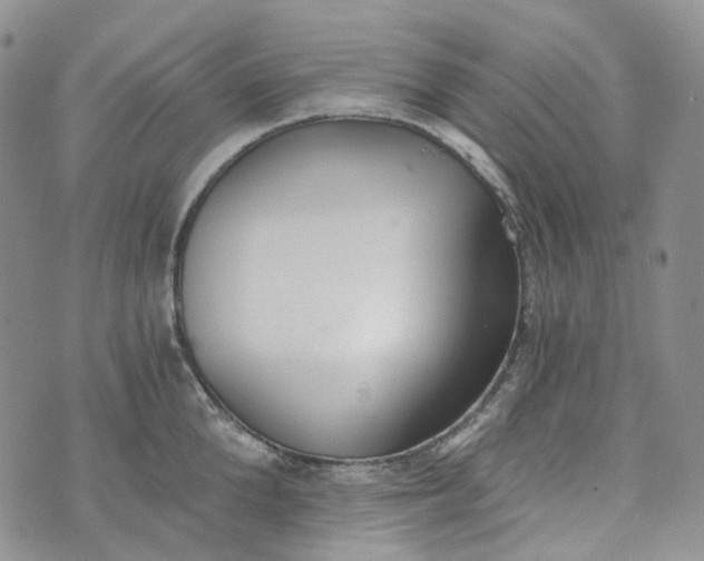 X0000072980904200608041240