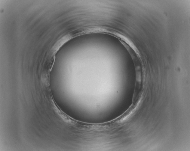 X0000072980905200608041240