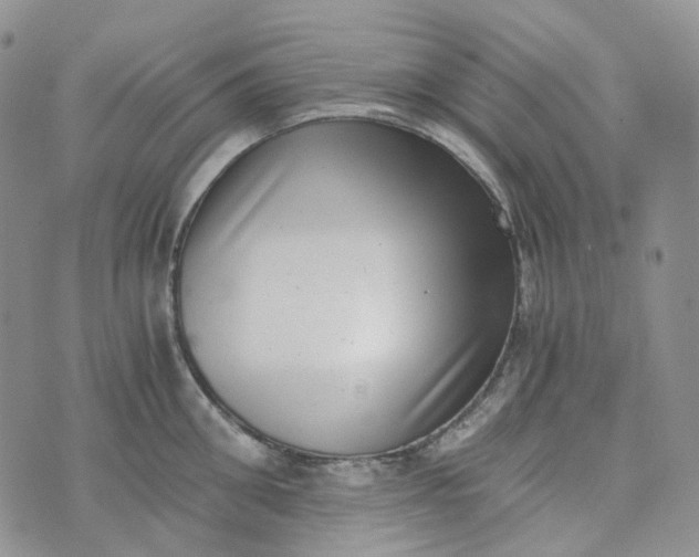 X0000072980906200608041240