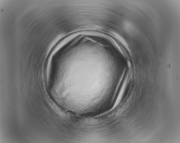 X0000072980907200608041240